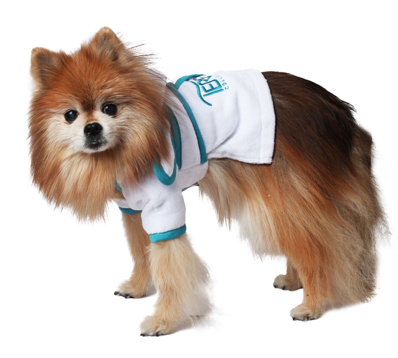 Pet Robe